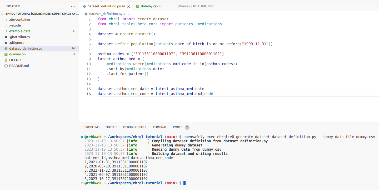 A screenshot of VS Code, showing the terminal after the opensafely exec command was run